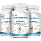 Nutrition Strength Vitamin B12 for Dogs Plus Folate & Calcium, Support the Nervous System & Blood Cell Formation, Help Sustain Cellular Energy Generation & Maintain DNA Synthesis, 120 Chewable Tablets