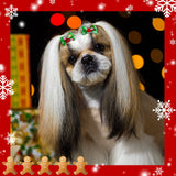 Weewooday 70 Pcs Dogs Hair Holiday Dog Bows Bowtie with Rubber Band Pet Hair Accessories Puppy Bowknot Topknot Pet Grooming Bow for Holiday Christmas Small Puppy Decor(Classic Style)