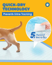 Load image into Gallery viewer, 50-Pack Extra Large Pee Pads - 34" x 28" Puppy Pads for Dogs with 6-Layer Leakproof Protection, Disposable and Quick-Dry Dog Pads with High Absorbency for Easy Potty Training
