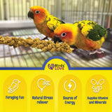 Birds LOVE Economy Special Spray Millet | GMO-Free (No Stems Only Edible Tops) for Birds Cockatiel, Lovebird, Parakeet, Finch, Canary All Parrots Healthy Treat 7 oz -Pack of 2
