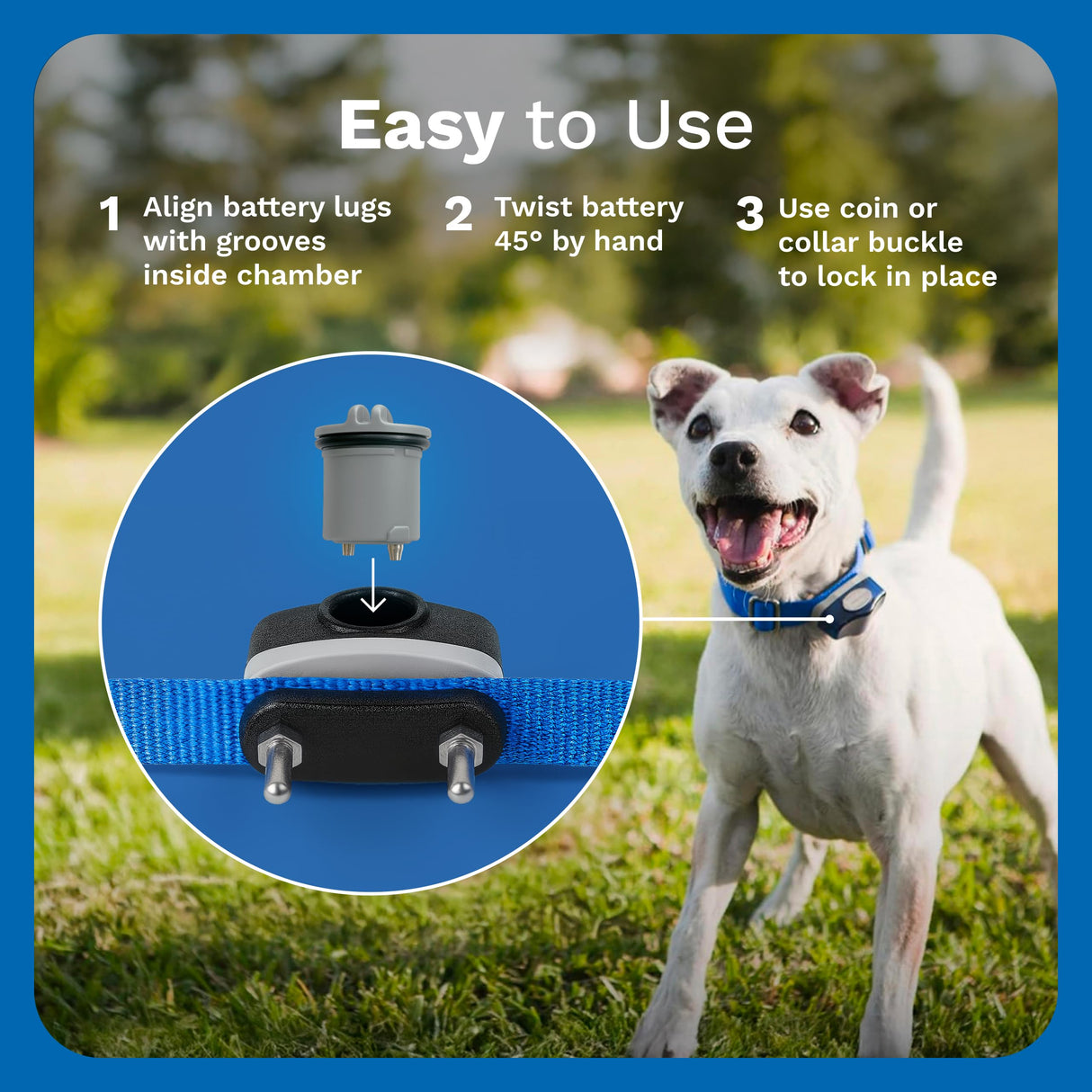 Invisible Fence Power Cap Battery - Original IFB Electric Fence Battery Replacement for Dog Collars - Long-Lasting - 2 Pack