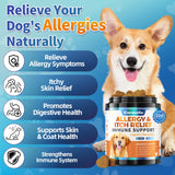 Carmelie Dog Allergy Chews 200 Chews - Dog Itching Skin Relief Support - Omega 3 Probiotics for Dogs - Itchy & Paw Licking Relief, Seasonal Allergies, Skin & Coat Immunity Supplement - Chicken Flavor