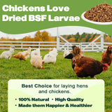 LIWII 10LB Dried Black Soldier Fly Larvae, 86X Calcium Than Dried Mealworms, High Protein Non-GMO Organic Chicken Feed