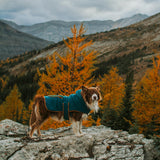 Wilderdog Double-Layered Hooded Sherpa Fleece Dog Jacket with Belly Strap, Leash Hole, Back Snap Pocket