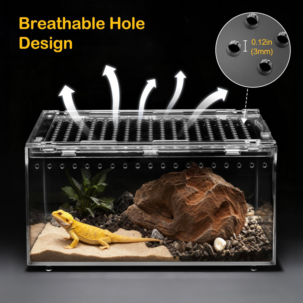 Clioran Large Reptile Terrarium Kit,Escape Proof Tarantula Enclosure,PC Starter Hermit Crab Tank,Spider Habitat for Praying Mantis Cage,Frog Vivarium,Insect House,Lizard Cribs,Leopard Gecko Container