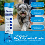 Replenish Dog Recovery Water Supplement – Pedialyte for Dogs Hydration Drink & Water Additive - Electrolytes for Dogs Hydration Supplement – 10 Packets Count