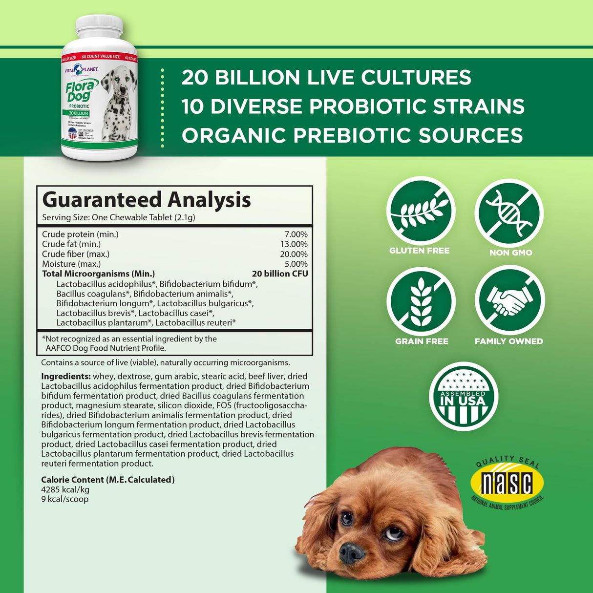 Vital Planet - Flora Dog Probiotic Chewable Tablets Supplement with 20 Billion Cultures and 10 Strains, High Potency Immune and Digestive Support Probiotics for Dogs, 60 Beef Flavored Chewable Tablets
