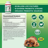 Vital Planet - Flora Dog Probiotic Chewable Tablets Supplement with 20 Billion Cultures and 10 Strains, High Potency Immune and Digestive Support Probiotics for Dogs, 60 Beef Flavored Chewable Tablets