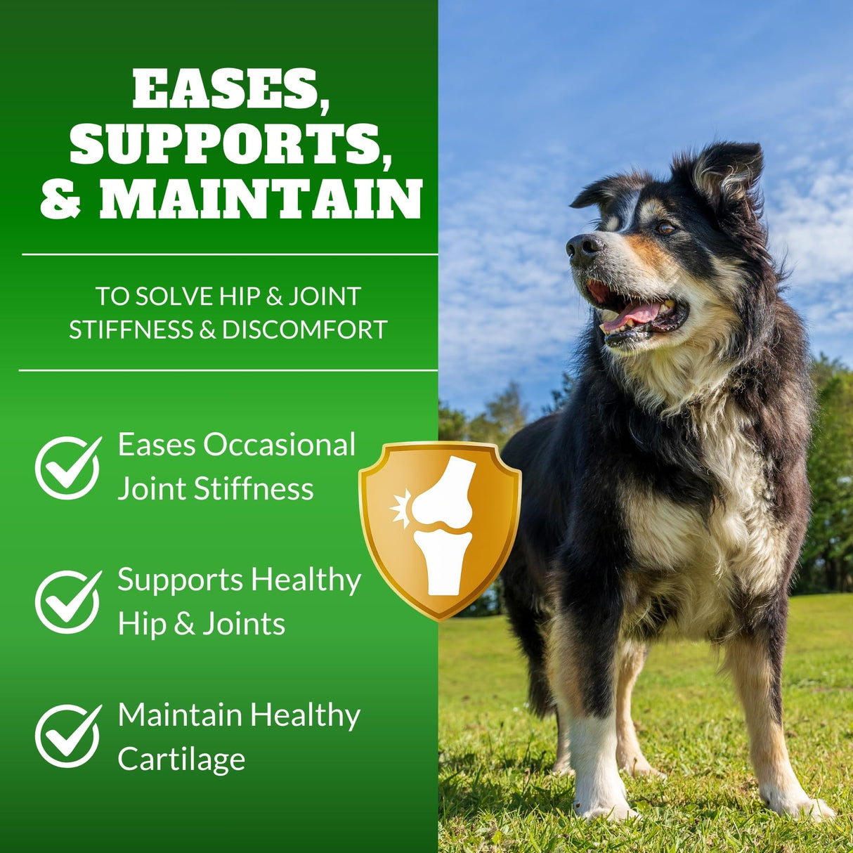 Dog Hip & Joint Supplement Chews with Glucosamine & Chondroitin – Joint Support for Senior & Large Breed Dogs, Helps Mobility & Flexibility – 120 Ct