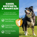 Dog Hip & Joint Supplement Chews with Glucosamine & Chondroitin – Joint Support for Senior & Large Breed Dogs, Helps Mobility & Flexibility – 120 Ct