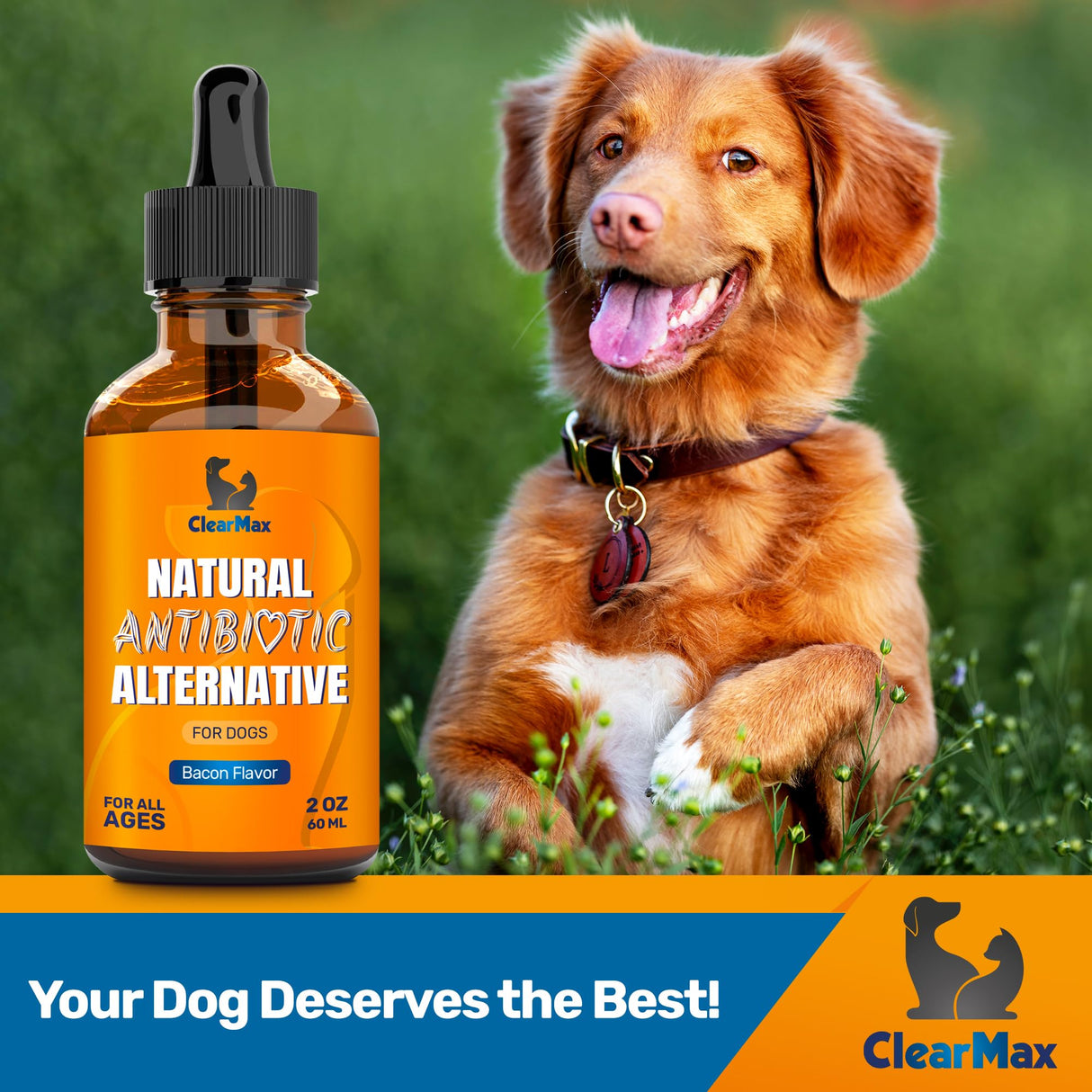 Dog Antibiotics for Infections, Allergies, Coughs – Natural Antibiotics for Dogs with Cranberry Provide Urination & Digestion Care – Natural Ingredients + Bacon Flavor – 2 Oz