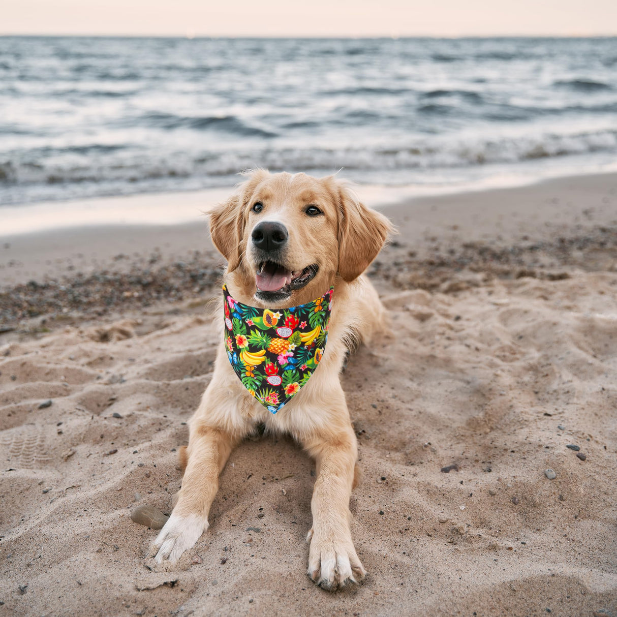 ADOGGYGO Summer Hawaii Dog Bandana, 6 Pack Flamingo & Fruit Pattern Triangle Summer Bandanas for Extra Large Dogs Pets (X-Large)