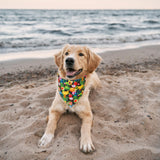 ADOGGYGO Summer Hawaii Dog Bandana, 6 Pack Flamingo & Fruit Pattern Triangle Summer Bandanas for Extra Large Dogs Pets (X-Large)