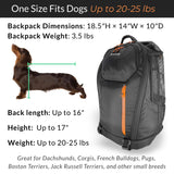DJANGO Dog Carrier Backpack – Pet Backpack for Small Dogs & Cats with Hip Belt, Laptop Pocket & Water Bottle Sleeve – Travel Dog & Cat Carrier for Hiking, Camping & Commuting (Midnight Black)
