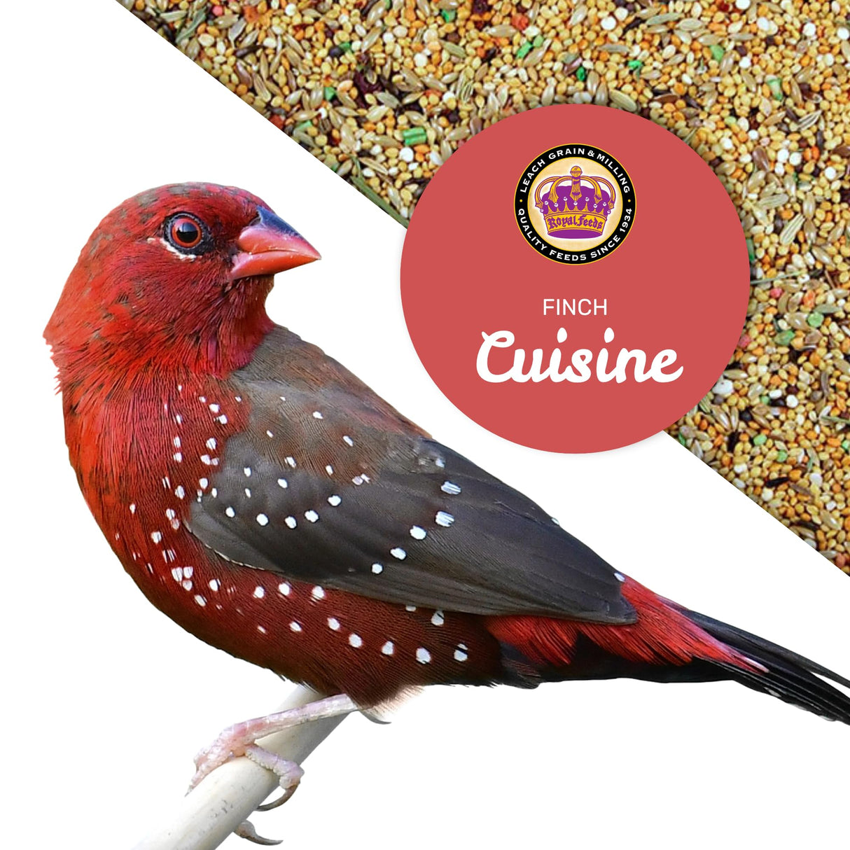 LEACH GRAIN & MILLING CO. Finch Cuisine 4 Lbs, Finch Food, Nutrient-Rich Blend Bird Seed, Birdseed for Finches and Small Birds, Support Daily Energy, Growth & Healthy Balanced Diet, No Mess Bird Seed