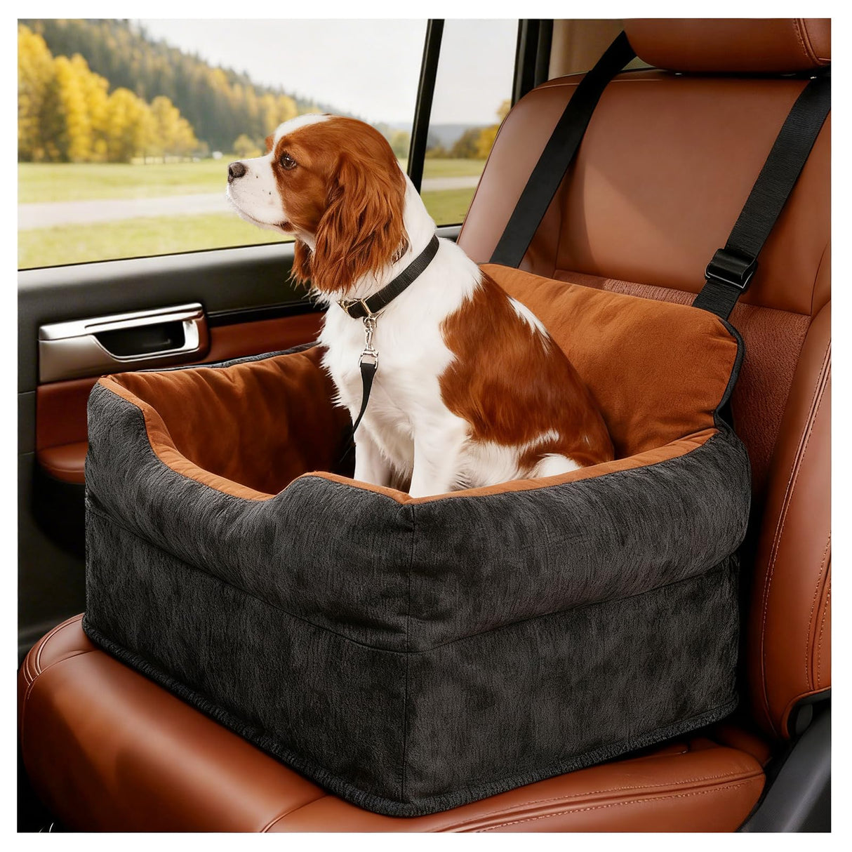 Avont Dog Car Booster Seat for Small/Medium Dogs Under 30 lbs, Elevated Puppy Carseat, Front Seat Pet Car Bed -Black