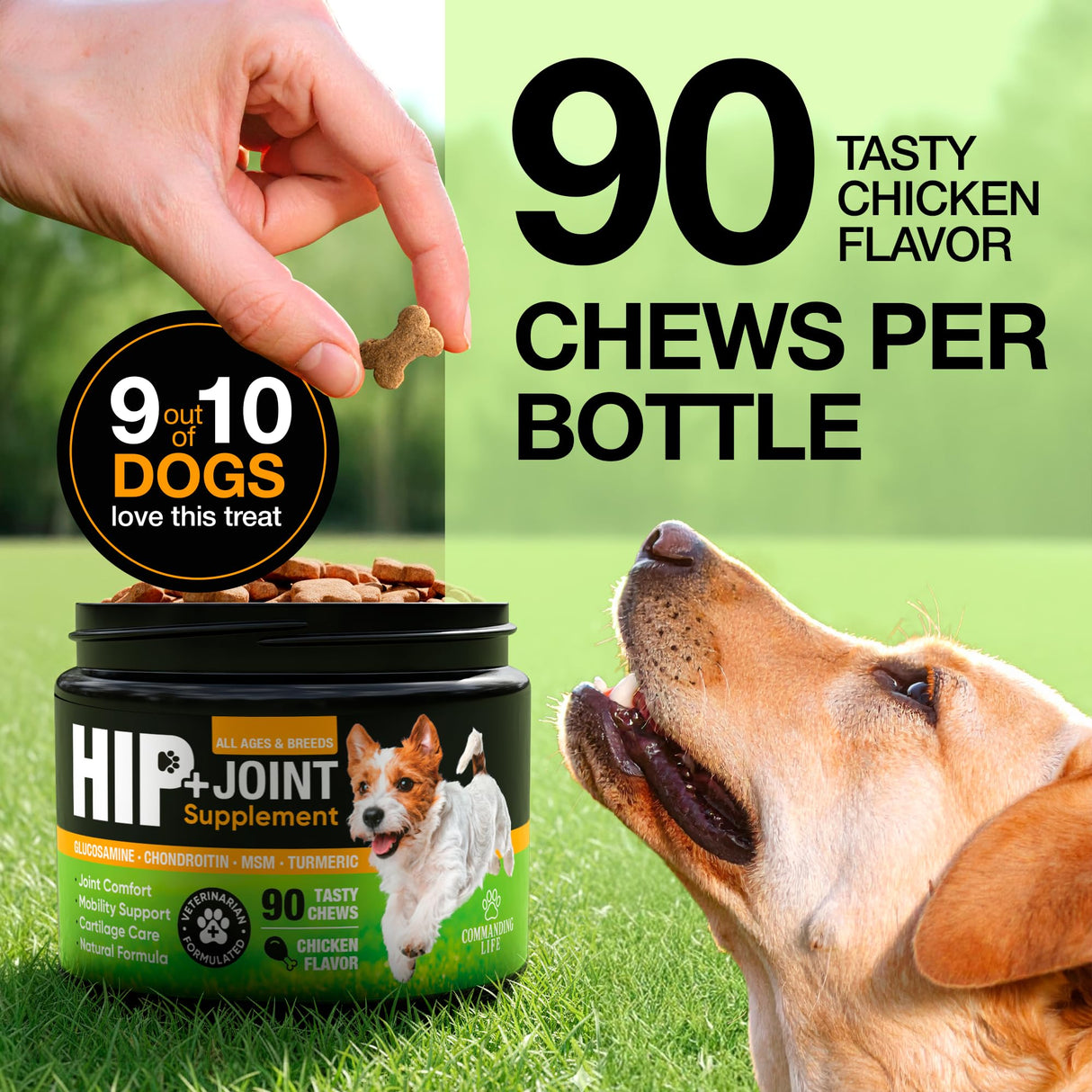 Glucosamine & Chondroitin for Dogs – Hip and Joint Supplement Chews with MSM, Vitamin C, Turmeric, Omega-3 for All Breeds – Pain & Mobility Support – 2-Month Supply – Chicken Flavor