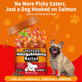 Pawnnergy Dog Allergy & Itch Relief Chews - Salmon Oil Omega-3, Omega-6, Vitamin B1/B2/B6, Colostrum Probiotics Supplement for Seasonal Allergy, Hot Spots, Paw Licking, Scratching, 100 Soft Chews