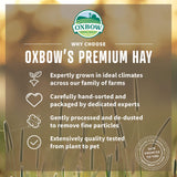 Oxbow Alfalfa, Guinea Pig Hay, Rabbit Hay, Small Pet Bunny Supplies, All Natural Grass for Guinea Pig, Bunny, Chinchilla & Hamster, Oxbow Rabbit Supplies, Grown in USA, 9 lb box