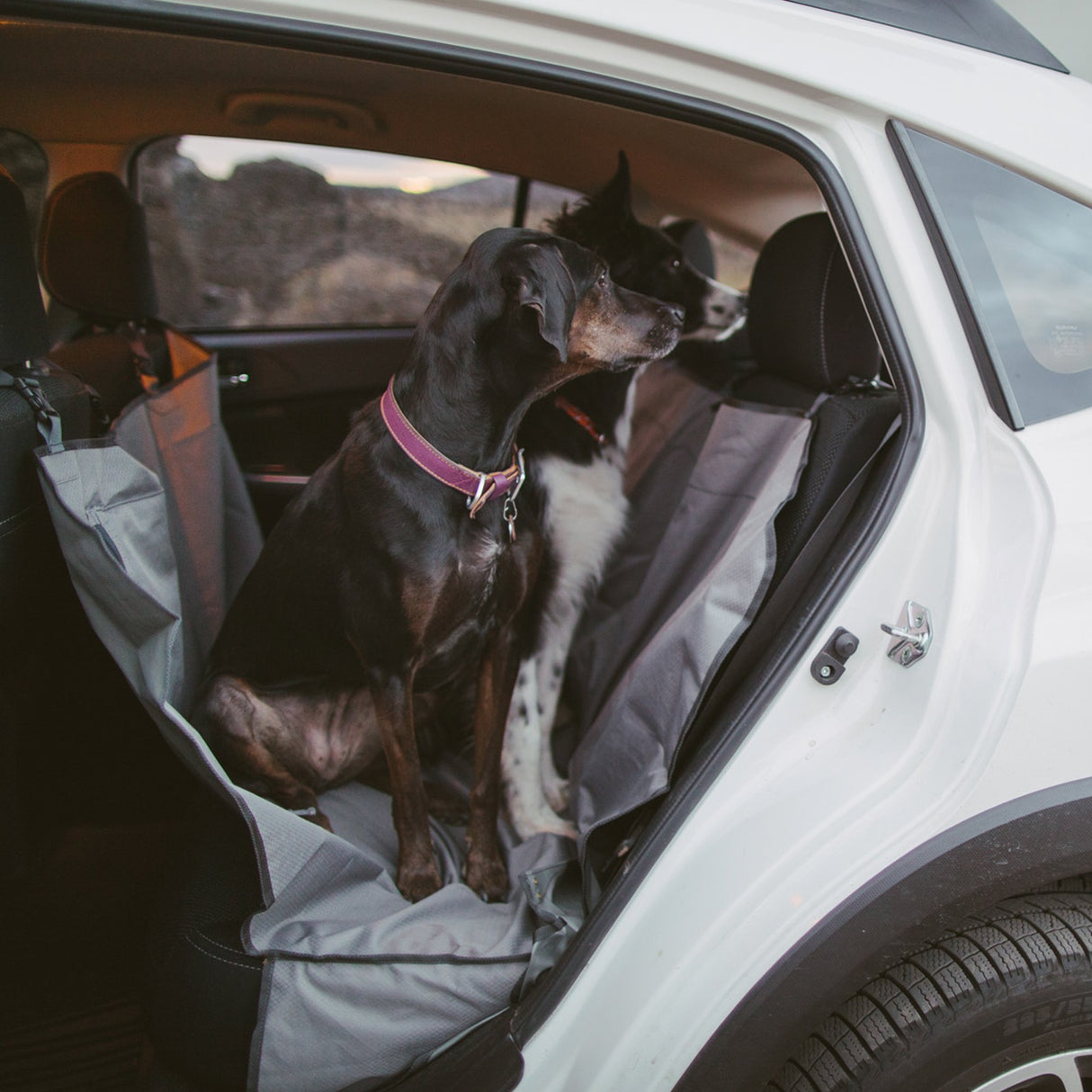 Ruffwear, Dirtbag Dog Car Seat Cover, 300D Heavy Duty Waterproof Scratch Proof Nonslip Hammock or Bench, Durable Machine Washable, Back Seat Protector for Cars, SUVs & Trucks, Basalt Gray