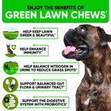 Green Lawn Chews for Dogs - Natural Dog Urine Neutralizer for Lawn with Cranberry, Probiotics, ACV & Digestive Enzymes - 120 Chews for Healthy Bladder, Urinary Tract - Grass Burn, Yellow Spots Treats