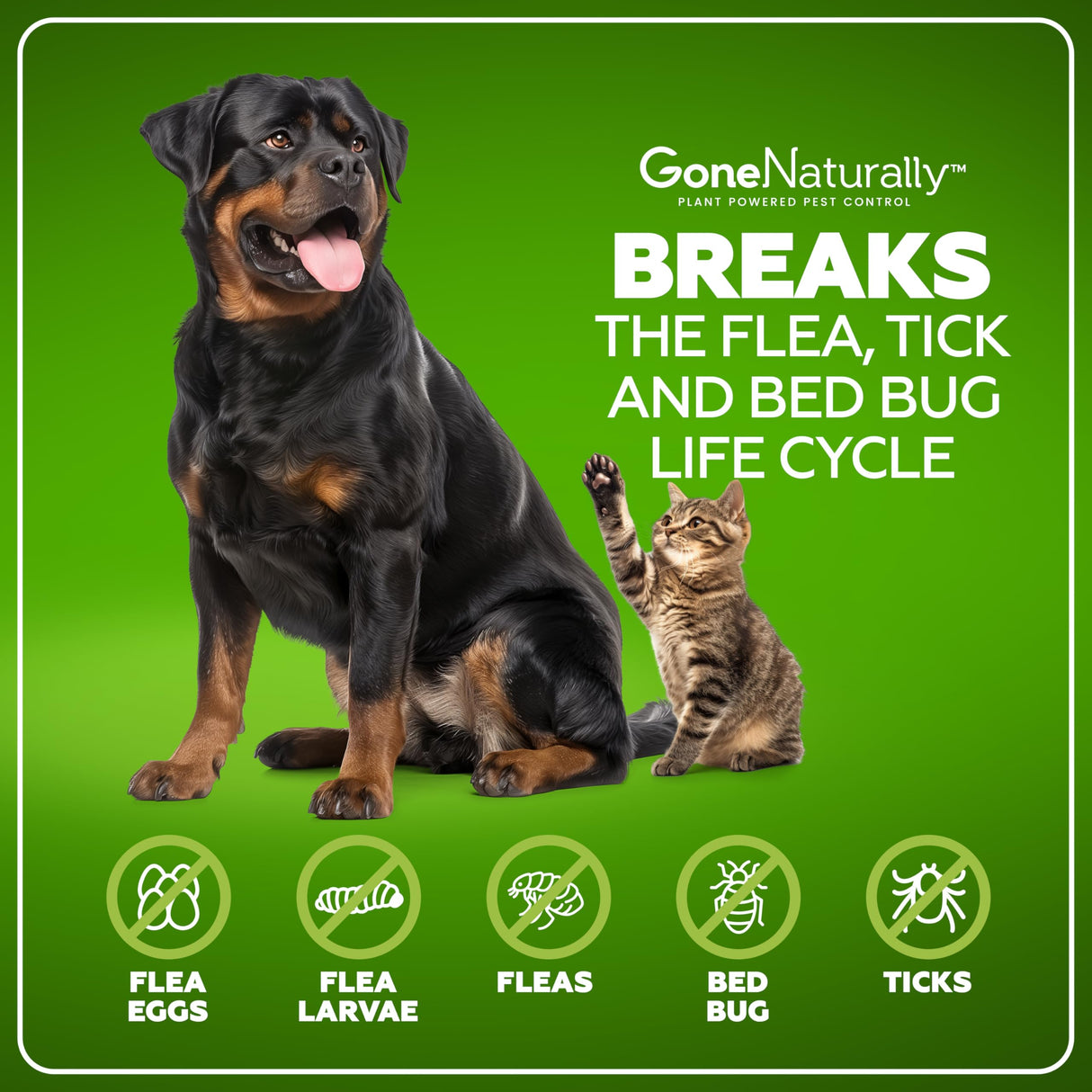 GoneNaturally Flea and Tick Spray for Dogs & Home– Natural Flea and Tick Prevention for Dogs– Bed Bug Spray & Multi-Insect Killer– Scentless Plant-Based Formula Kills on Contact (32 oz)