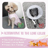Paipeper Dog's Recovery Suit Post Surgery Shirt for Puppy, Small Dog Surgical Recovery Suit for Female Male Dogs, Dog Onesie Protect Surgical Wound(Purple White Stripe-m)