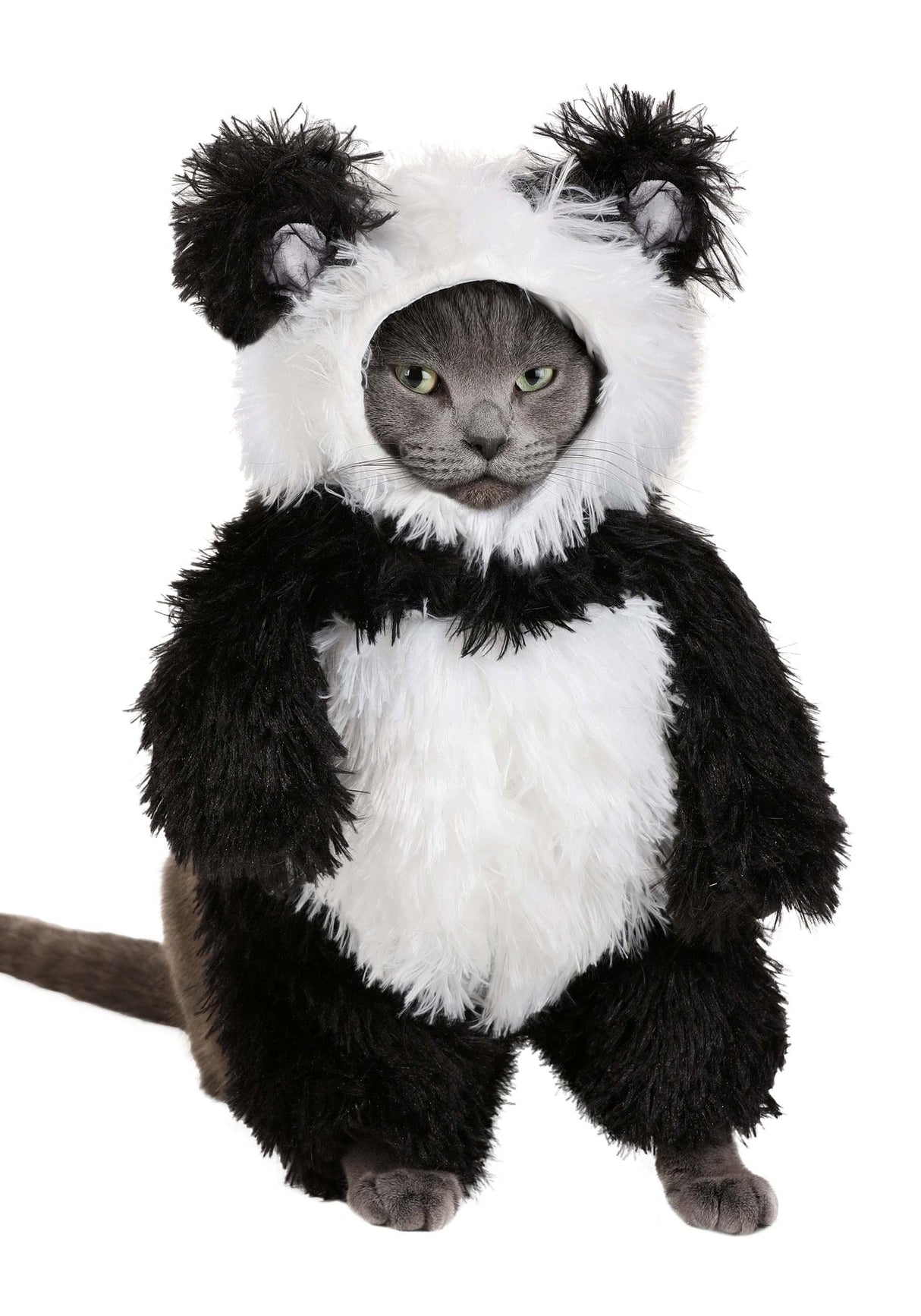Panda Pooch Dog Costume Medium