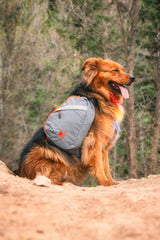 Mountainsmith K9 Dog Pack, Adjustable Chest and Back Harness Canine Backpack, Saddle Bags with Zippered Pockets for Camping, Travel, Outdoors, Backpacking, Hiking, Lava Red, Small