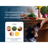 Petivity Microbiome Analysis Kit — Basic for Cats and Dogs, Powered by Purina - 4.8 oz. Box