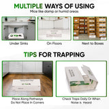 T3-R Sticky Large Rat & Mice Glue Traps | Mouse and Insect Glue Boards | Disposable Non-Toxic Glue Traps for Mice and Rats | Peanut Butter Scent Sticky Traps (36 Pack)