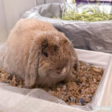 Kaytee Clean & Cozy Natural Paper with Extreme Odor Control Bedding, Made with 100% Recycled Paper