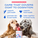 Native Pet Salmon Oil for Dogs & Cats – Pure Omega-3 Fish Oil for Dogs Supplement for Skin & Coat, Joint & Heart Health - Dog Anti-Inflammatory – 100% Wild-Caught Alaskan Sockeye Salmon – 8 oz