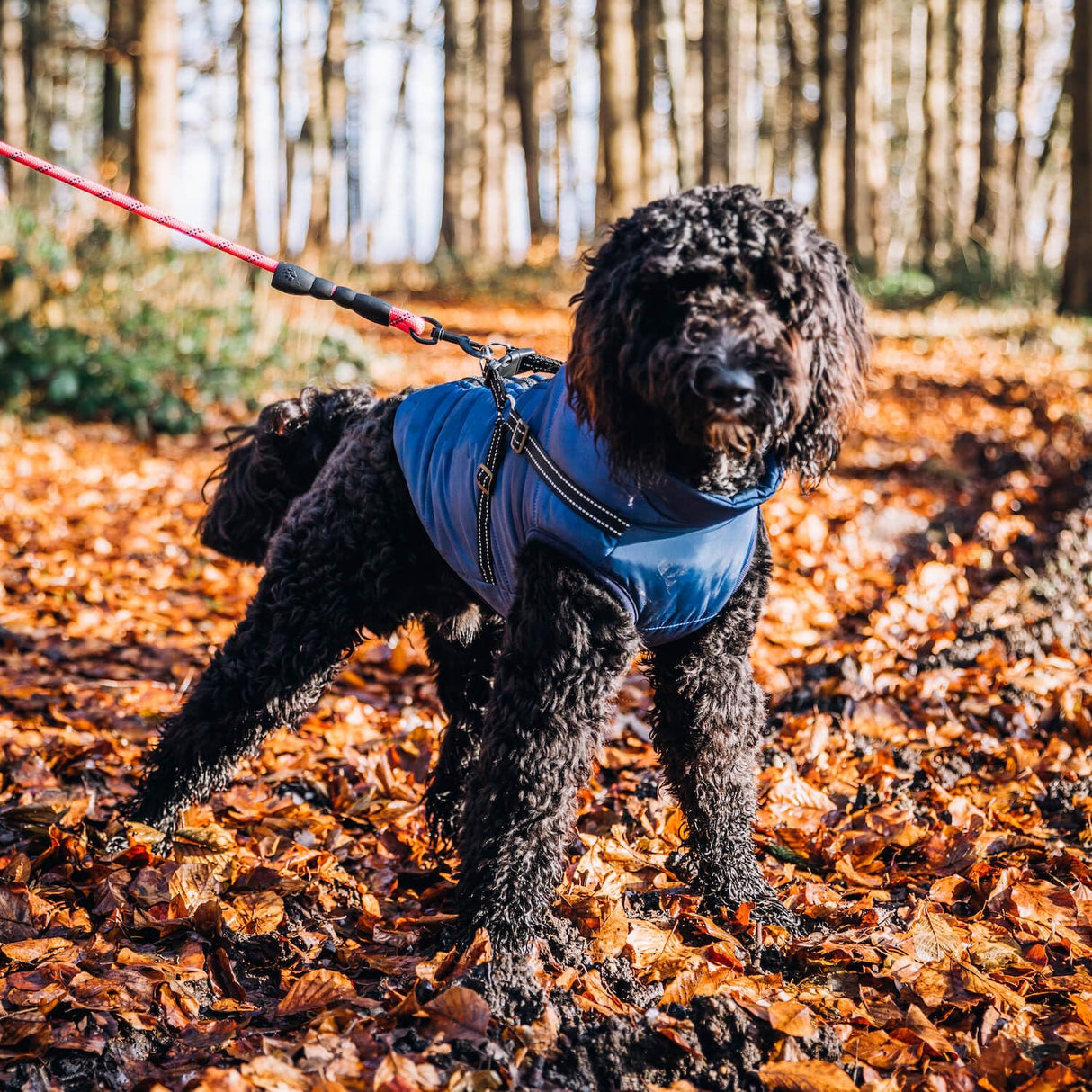 Reflective Dog Jacket Water Resistant with Harness Built in and Warm Fleece Inner Lining, Windproof Dog Coat for Cold Weather Jackets for Small Large Medium Dogs - Red M