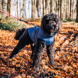 Reflective Dog Jacket Water Resistant with Harness Built in and Warm Fleece Inner Lining, Windproof Dog Coat for Cold Weather Jackets for Small Large Medium Dogs - Red M