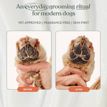 Load image into Gallery viewer, Dandylion Soft Paws Lotion with Brush | Dog Paw Balm &amp; Paw Butter | Hydrating, Vet-Approved, Lick-Safe, Fragrance-Free | pH-Balanced for Itchy, Dry, Cracked Dog Paws | 0.6 fl oz
