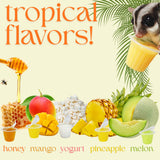 Nectar Pods (Variety 4 Pack) - Calcium-Fortified Jelly Fruit Treat - Sugar Gliders, Marmosets, Squirrels, Parrots, Cockatiels, Parakeets, Birds, Hamsters, Day Geckos, Kinkajous & Other Small Pets