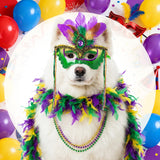 LEIFIDE 5 Pcs Mardi Gras Dog Costume Mardi Gras Pet Mask with Collar Carnival Masquerade Pet Accessories Set Golden Green Purple Puppy Dress up Feather Boa for Medium Large Dogs Outfit Decor