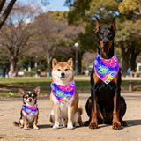 Pai Sence Tie Dye Dog Bandanas Bulk for Dogs 60 Pcs Assorted Size Stitching Dog Bandanas Small Medium Large Mixed Size Bandana Party Grooming