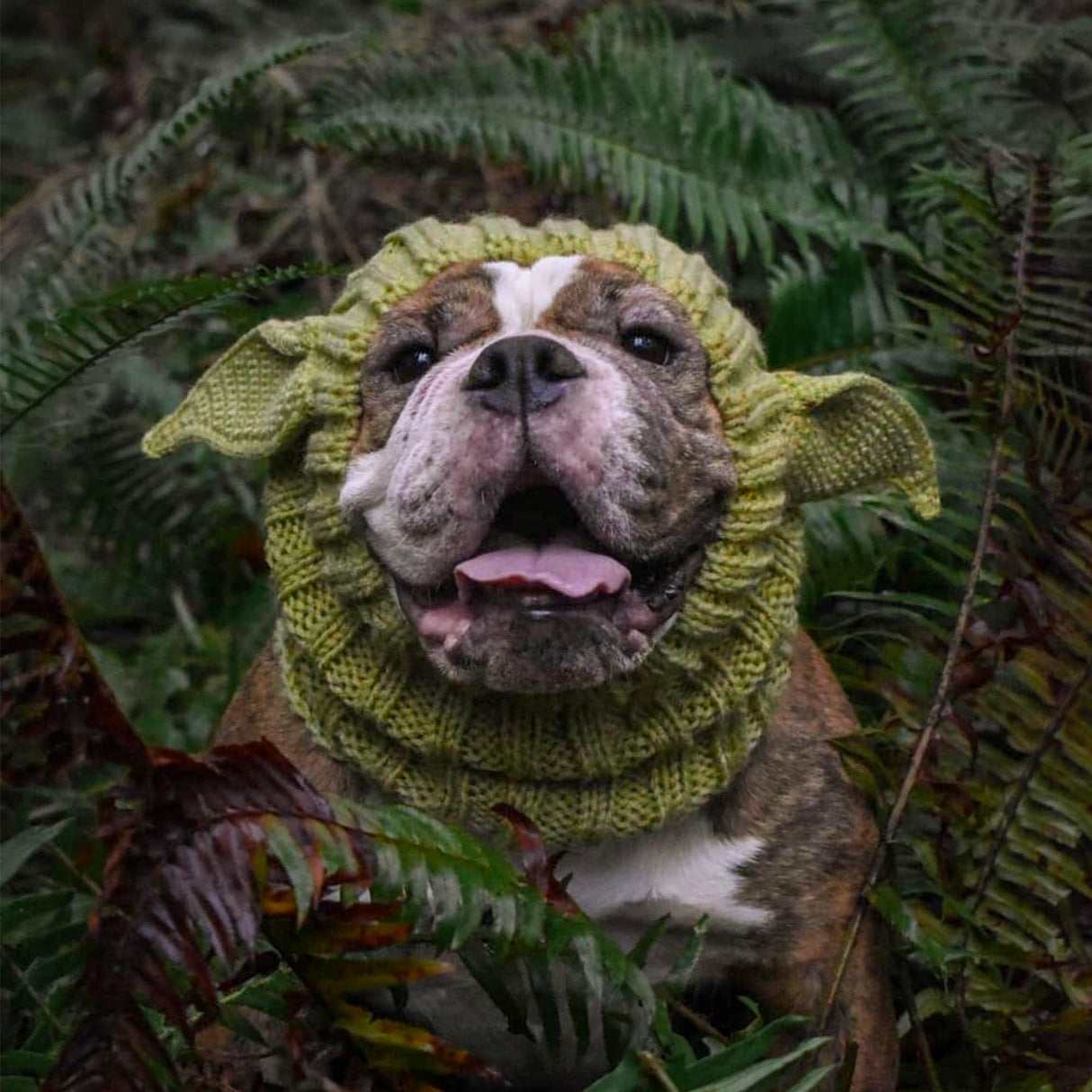 Zoo Snoods Baby Yoda Costume - Alien Knit Dog Snood Wrap for Pets, Warm Neck Ear Cover Protection for Halloween and Winter (Medium)