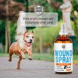 Silver Dog Wound Spray Helps with Hot Spots, Irritations, Bites, Burns, Rashes, Itch, Scratching – Better Use with a Dog Cone to Stop Licking – Safe for Large and Small Breeds – 4 oz