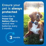 Invisible Fence Power Cap Battery - Original IFB Electric Fence Battery Replacement for Dog Collars - Long-Lasting - 2 Pack