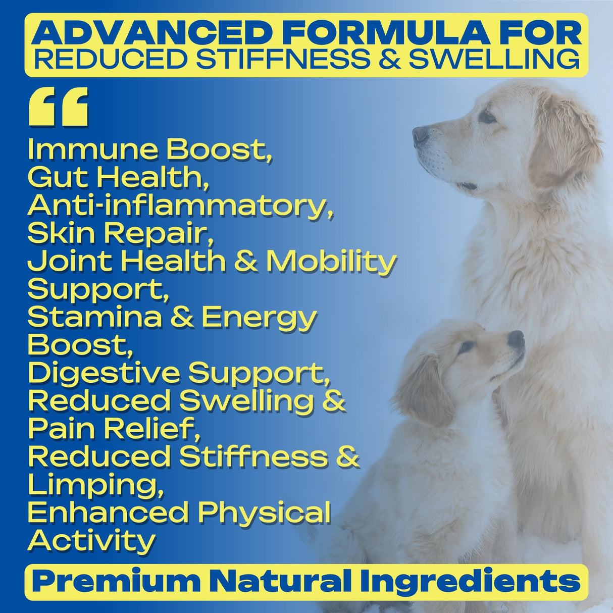 Yeast-Infection-Treatment for Dogs – Soothing Itchy Skin, Ears & Paws – Natural Relief with Omega-3, Collagen, PAU D’Arco & Apple Cider Vinegar – Dog Yeast-Infection Support Chews