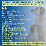 Yeast-Infection-Treatment for Dogs – Soothing Itchy Skin, Ears & Paws – Natural Relief with Omega-3, Collagen, PAU D’Arco & Apple Cider Vinegar – Dog Yeast-Infection Support Chews