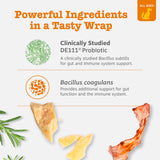 Zesty Paws Pill Wrap Probiotic Paste for Dogs - Immune & Digestive System Support - Bacon Flavor - with DE111 Bacillus subtilis - Pockets Any Pill, Tablet & Capsule for Your Dog - 4.2oz - 60 Portions