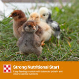 Purina Start and Grow | Non-Medicated Chick Feed Crumbles | Nutritionally Complete - 25 Pound (25 lb.) Bag