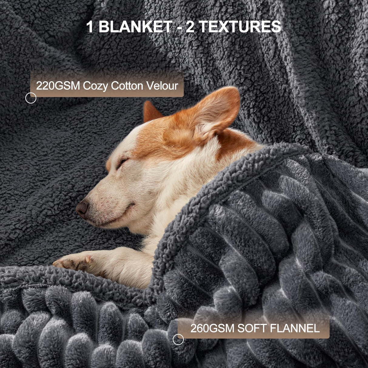 AIPERRO Waterproof Dog Blanket for Large Dogs, Washable Soft Puppy Cat Blanket Flannel Cotton Velour for Sofa Couch Protector, Comfort & Security Reversible Bed Protection for Pet, 60"X80", Gray