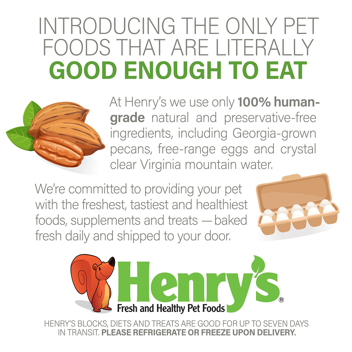 Henry's Picky Blocks - Nutritionally Complete Food for Squirrels, Flying Squirrels, and Chipmunks, 11 Ounces