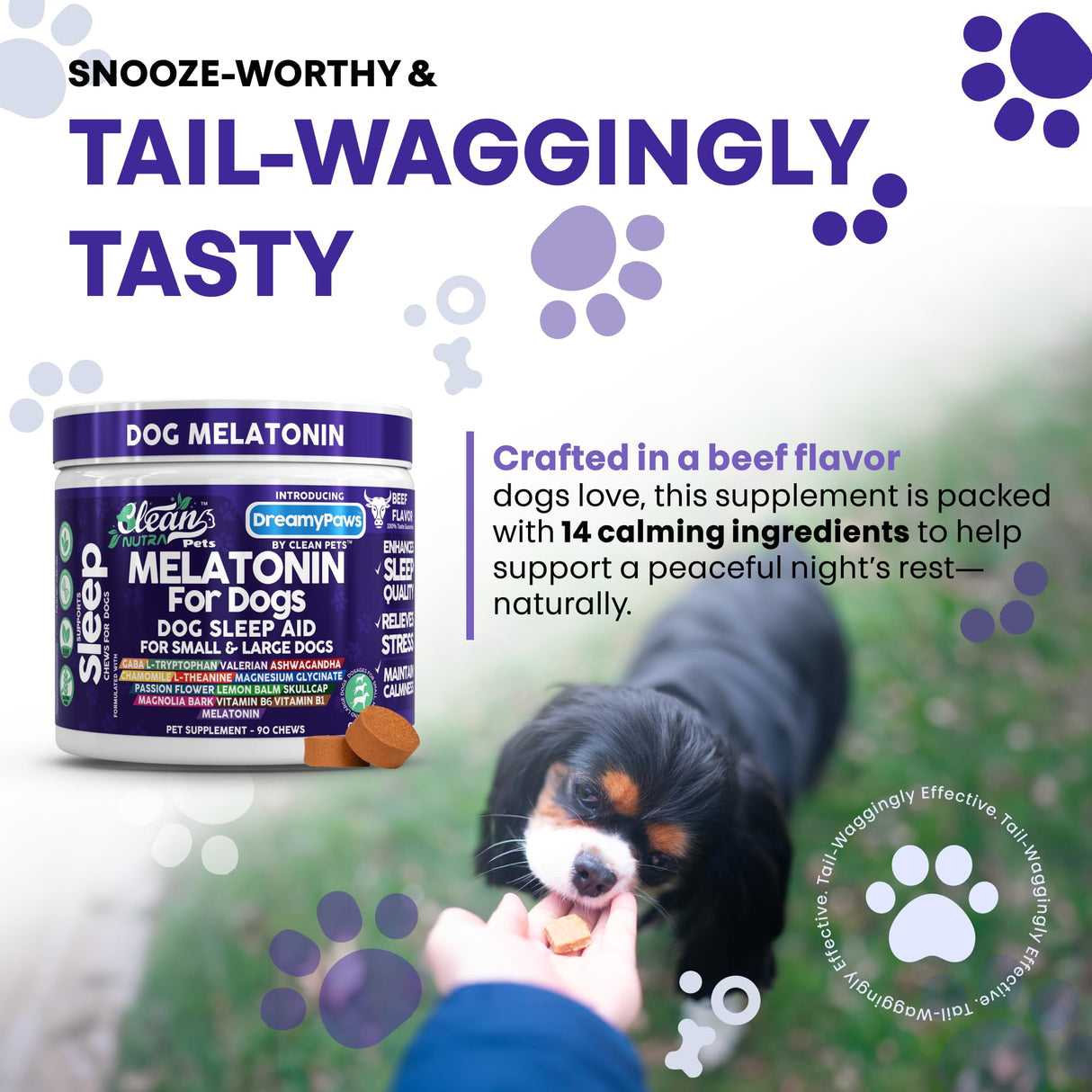 Dreamy Paws Melatonin for Dogs Dog Calming Sleep Supplement - Melatonin GABA Tryptophan Valerian Magnolia Bark Passion Flower Magnesium Ashwagandha Restful Sleep 90 Chews Beef Flavor by Clean Pets