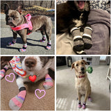 KOOLTAIL Anti Slip Dog Socks for Hot Pavement, 3 Pairs Dog Boots & Paw Protectors to Prevent Licking Paws with Grippers, Double Sides Booties Shoes for Hardwood Floors Small Medium Large Senior Dogs